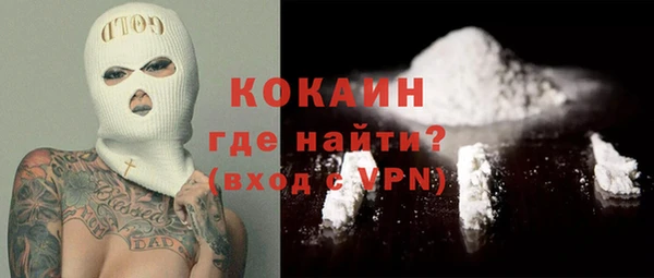 мет Алексин