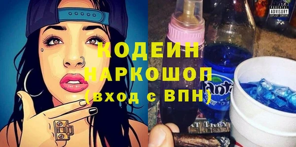 мет Алексин