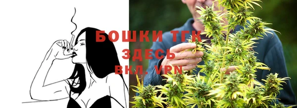 мет Алексин