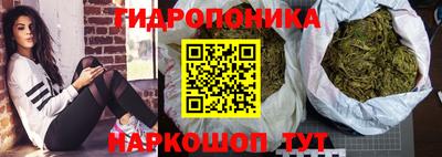 скорость Кандалакша