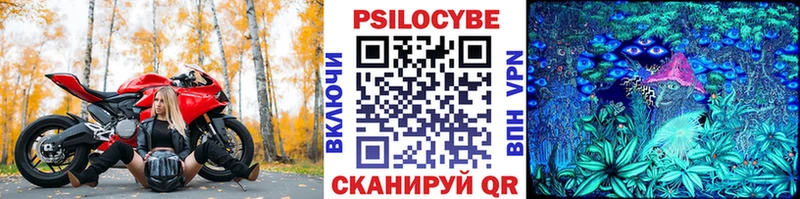 Псилоцибиновые грибы прущие грибы  купить наркоту  Ступино 