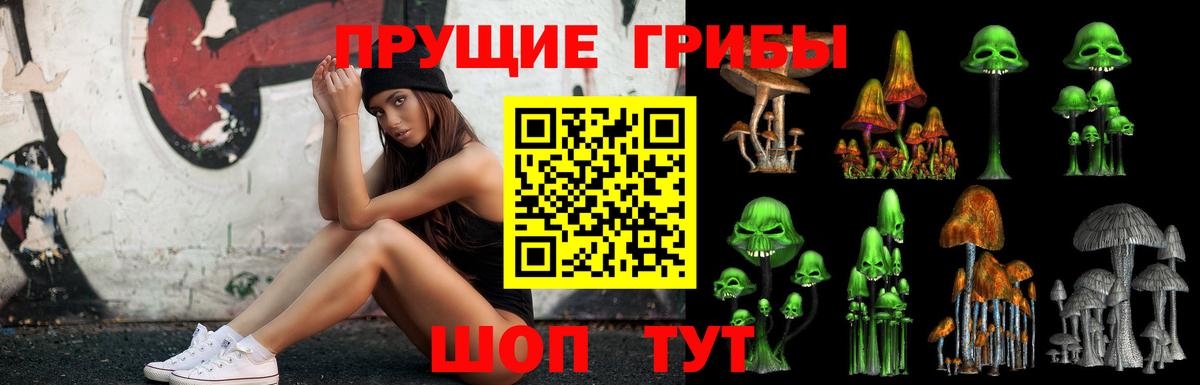 Ступино  Псилоцибиновые грибы Psilocybine cubensis  Вход с VPN  Псилоцибиновые грибы ЛСД 